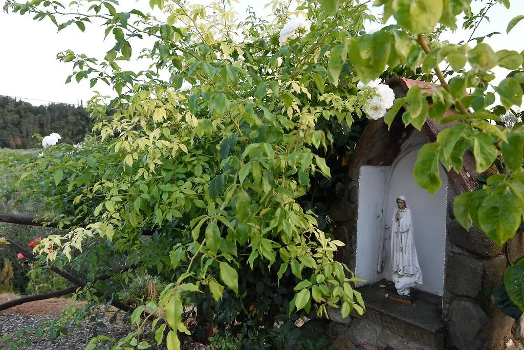 Agriturismo La Casuccia Castelfranco di Sopra Vakantieboerderij
