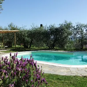  Vakantieboerderij Il Castagnolino