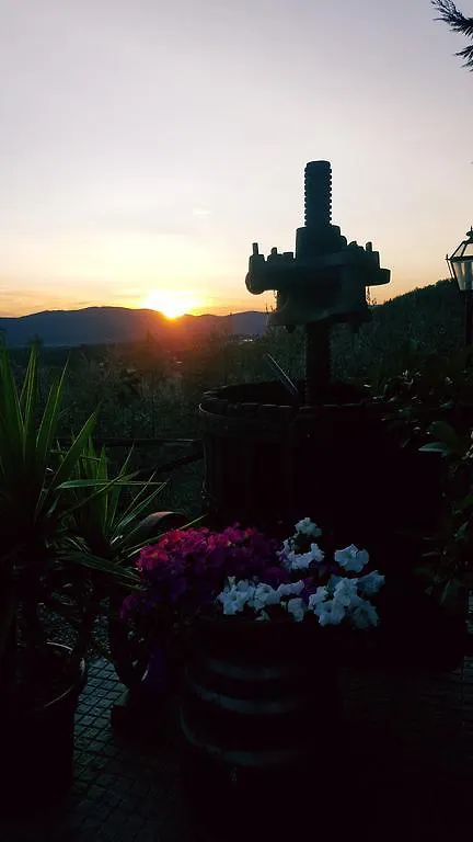 Agriturismo La Casuccia Villa Castelfranco di Sopra Farm stay